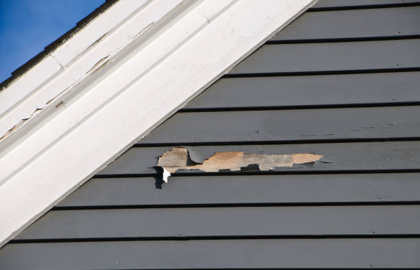 Reliable Braddock Heights, MD Siding Services Solutions